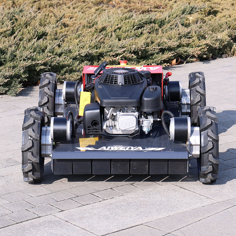 customized Remote Control Robo - Robot Wheel review and price
